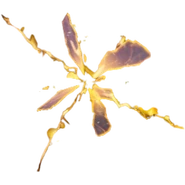 Golden Rifts, which are exclusive to Blitz