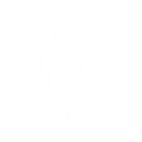 Sonic Surfer - Emote - Fortnite