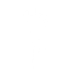 Visitor's Reflexes - Emote - Fortnite