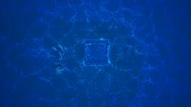 Top View