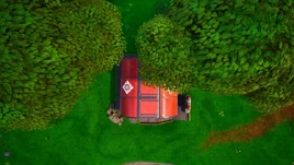 Top View