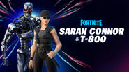 Promotional image for Sarah Connor and T-800