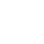 Raiden's Victory - Emote - Fortnite