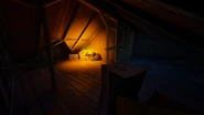 Attic