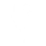 Big Fan - Emote - Fortnite