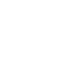 Icon Hero Ninja