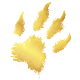 Decal