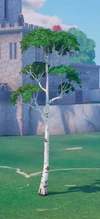 Birch Tree (v23.00) - Tree - Fortnite