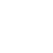 Ice Skate