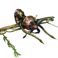 Nautilus