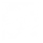 CheckWreck - Decal - Rocket Racing