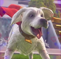 Krypto - Promo - Fortnite