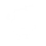 Wisdom of Towelie - Sidekick Emote - Fortnite