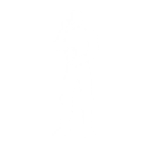 Zargnut Invisibility - Emote - Fortnite