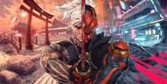 Ronin's Revenge