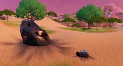The Order's Crash Site