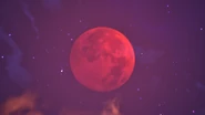 At Night