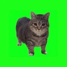OIIA OIIA (Spinning Cat) - Jam Track - Fortnite Festival
