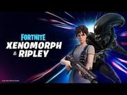 Ripley And The Xenomorph Arrive Through the Zero Point