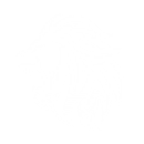 Tigerclaw - Decal - Rocket Racing