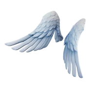 Old Icon