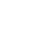 Gangsta Walk - Emote - Fortnite