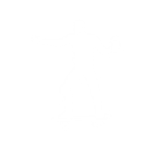 Squishee Boarding - Emote - Fortnite