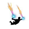 Fiber Optics