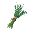 Herb - Material - Fortnite