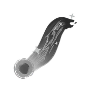 Icon used in the Ranked Quests for the Grey Style