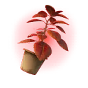 Green Herb (Red) - Back Bling - Fortnite