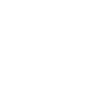 Unused icon made before release from a leaked Development Build from v31.10.