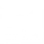 Whiteout - Decal - Rocket Racing