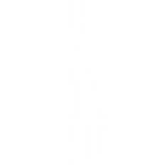 Raiden's Victory (Featured) - Emote - Fortnite