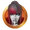 Shrouded Striker Medallion - Item - Fortnite