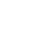 Icon Tactical