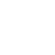 Icon (Before v39.30)