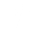 Groove Destroyer - Emote - Fortnite