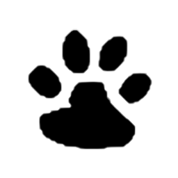The Child Fortnite Wiki Fandom