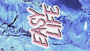 Custom Image 7