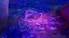 Battle's End (Magical Resonance) - Landmark - Fortnite