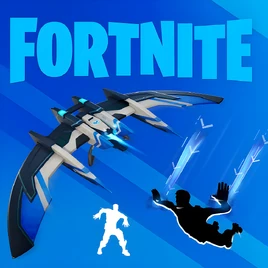 PS4 Pack 10 - Limited Time Offer - Fortnite