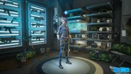 Upgrade Vault