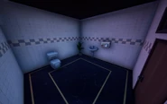 Singular Bathroom