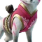 Kitsune (Kimono - Cherry Blossom) - Sidekick - Fortnite