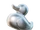 Rubber Ducky