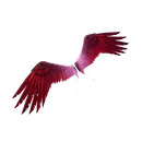 Eagle's Form - Glider - Fortnite