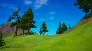 Chapter 2 - Forest Areas Pages Background