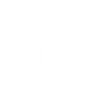 Save The Bird - Emote - Fortnite
