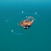 Floating Island Hub Spoke - Island - Fortnite